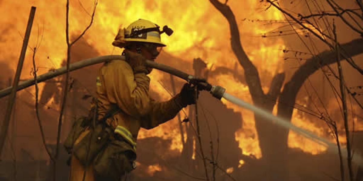 Bombero forestal trabajando en la extinción de un incendio