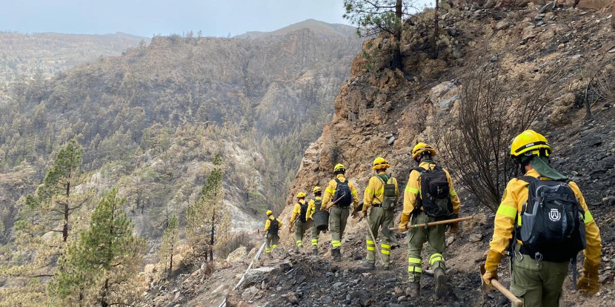 Bomberos y bomberas forestales