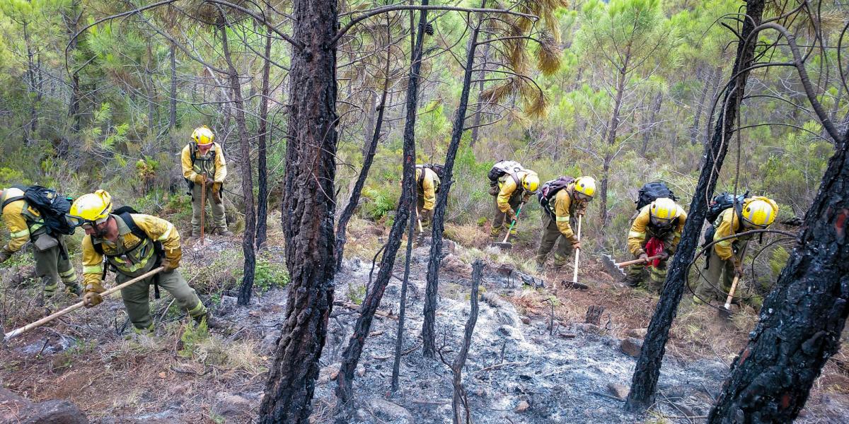 Bomberos forestales