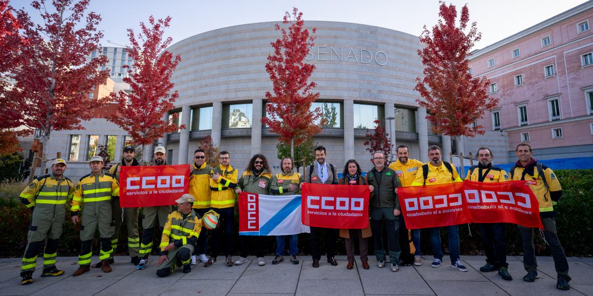 Aprobadas las leyes bsicas de Bomberos y Bomberas Forestales y de Agentes Forestales y Medioambientales